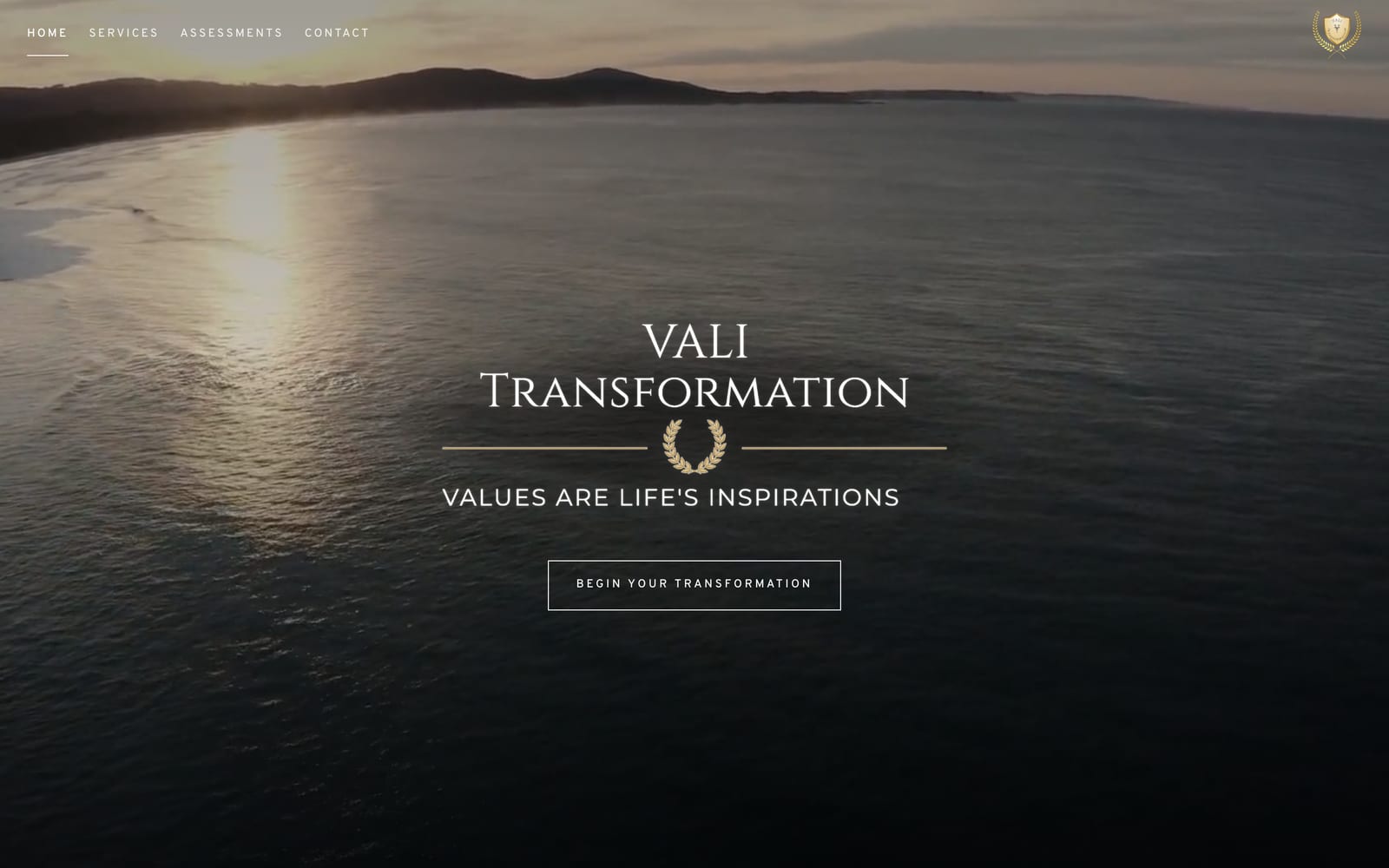 Vali Transformation website preview